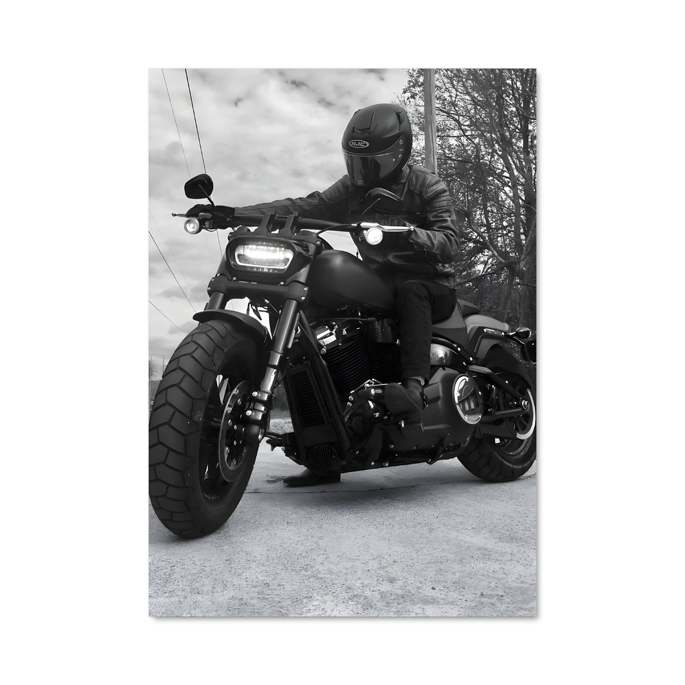 Poster splendide Low rider s